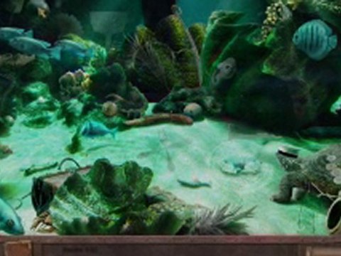 Enigmes et Objets Cachés: 20 000 Leagues under the Sea