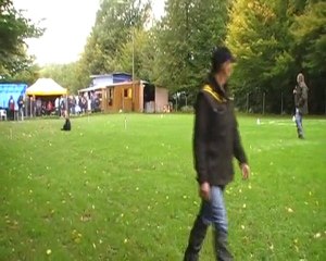 concours obéissance classe 2 à la cote