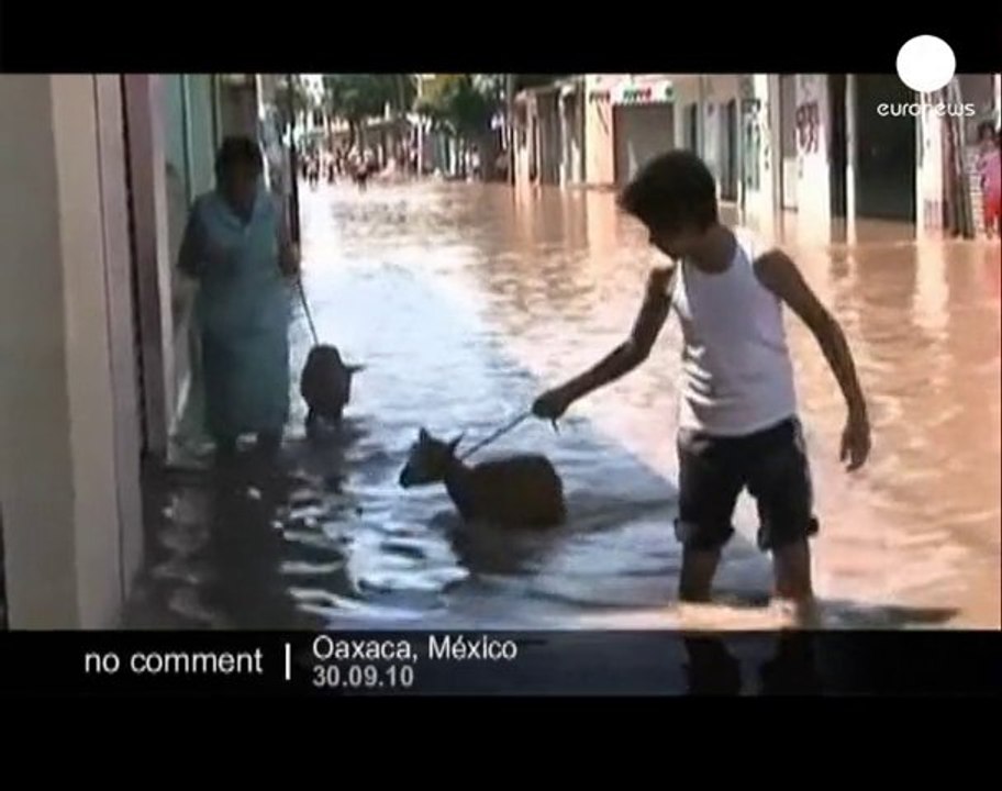 Mexico mudslide kills 16 in southern... - no comment