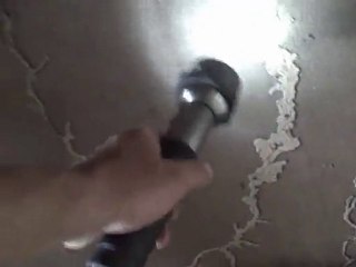 Gastonia NC Home Inspector Finds Termites