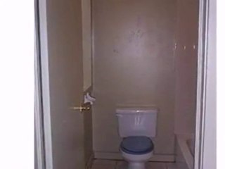 Homes for Sale - 7354 S Peoria St - Chicago, IL 60621 - Cold