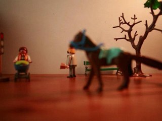 Animation octobre 2010