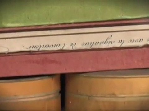 Accueil - Rez de chaussée : oeuvre de Mark Dion