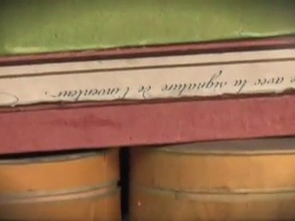 Accueil - Rez de chaussée : oeuvre de Mark Dion