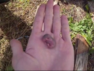 Blog ep4 - Portrait de Famille