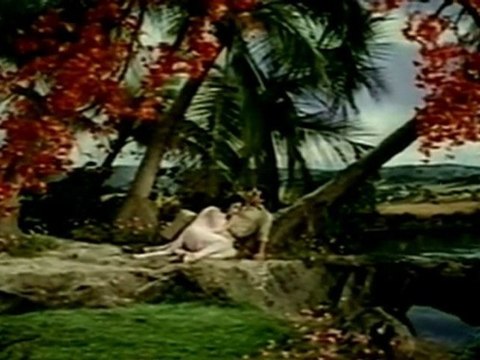 YE DIL DIWANA HAI : LATA - MOHD. RAFI : ISHQ PAR ZOR NAHIN