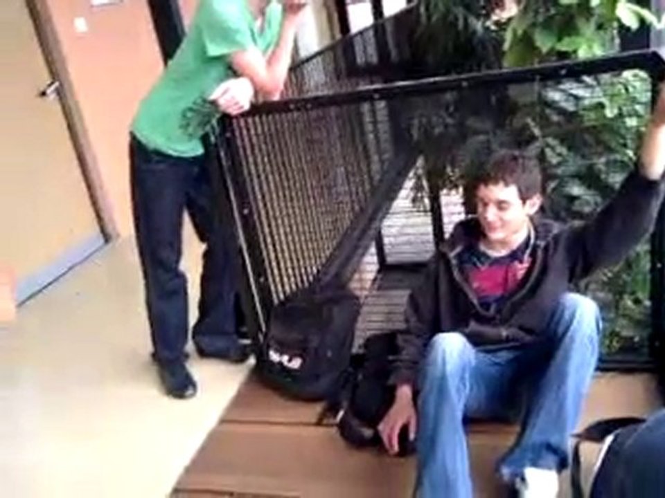 Vidéo0001