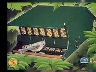 H-F Absolute 2 Sided Squirrel-Proof Feeder