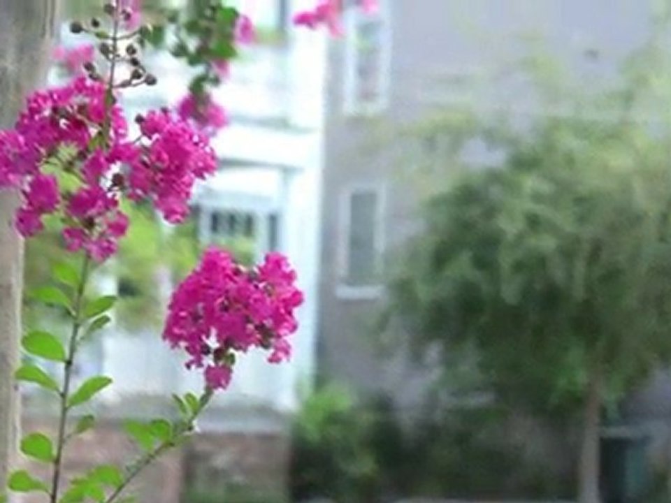 Mazyck-Wraggborough - Charleston, SC Historic Home