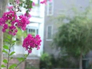 Mazyck-Wraggborough - Charleston, SC Historic Home
