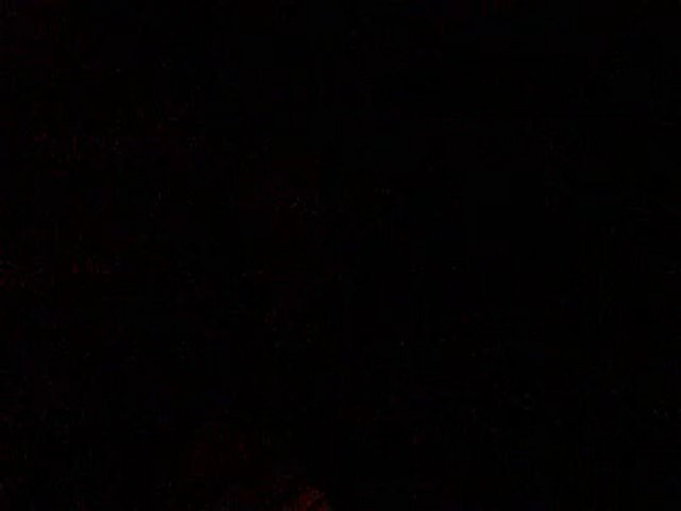 Gökhan NERGÜZ  ''Yeşil Yaprak Arasında Kırmızı Gül Goncesi''