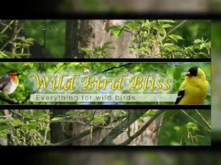 Opus Avant Garden Bird Bath