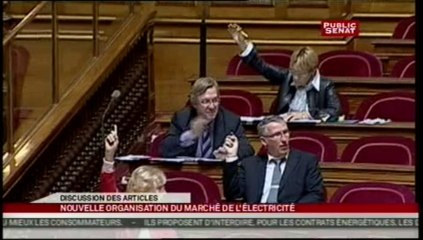 SEANCE,Suite et fin de l'examen sur la Nouvelle Organisation du Marché de l'Electricité