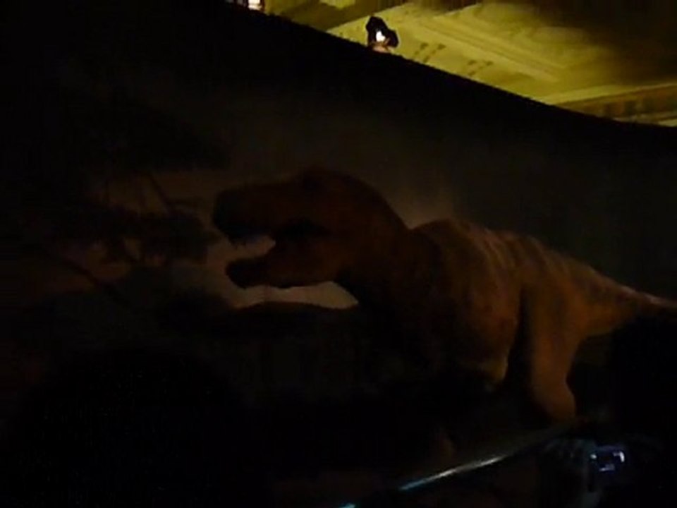 le tyranosaurus rex, la vedette!