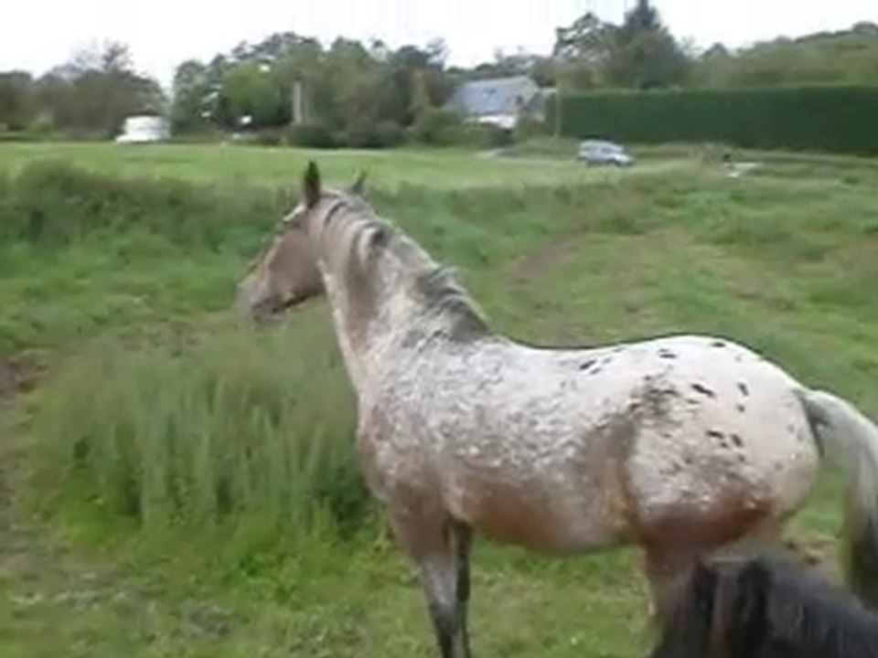 CIMG0960