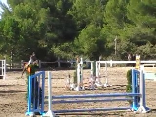 CSO collets rouge 2010