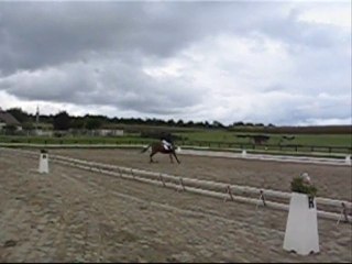 concours de dressage marlenheim