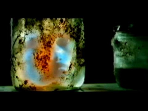 Sonata Arctica - Wolf and Raven