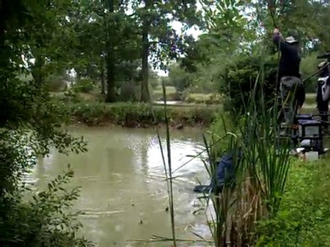 Casse sur une grosse carpe au coup - Etangs de Romainville