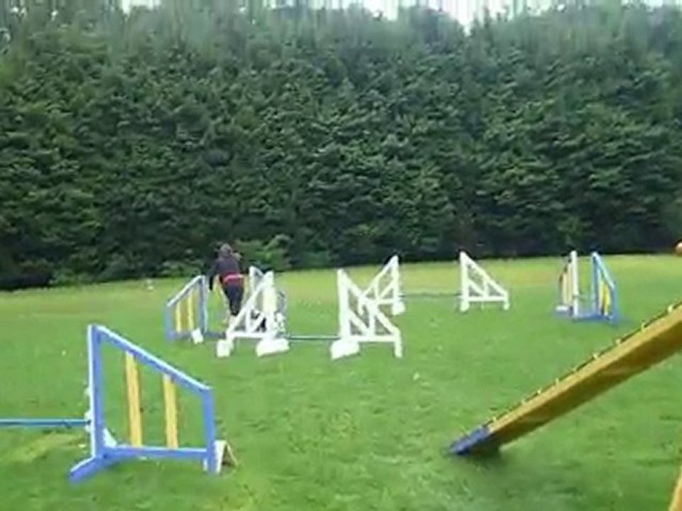 desyree et moi en agility