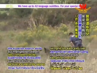 Keeping Canadians Safe: Search and Rescue Dogs Ontario