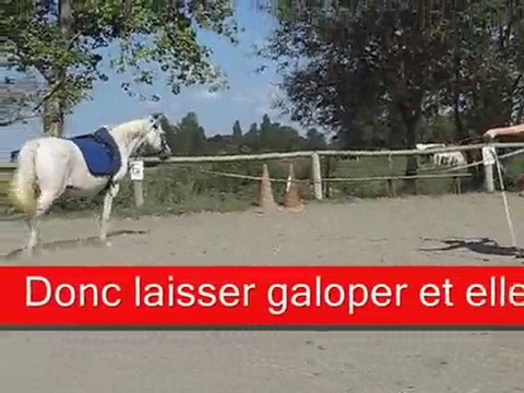 TRAVAIL A LA LONGE AVEC LUCIE PIERRE douchka 20 aout 2010