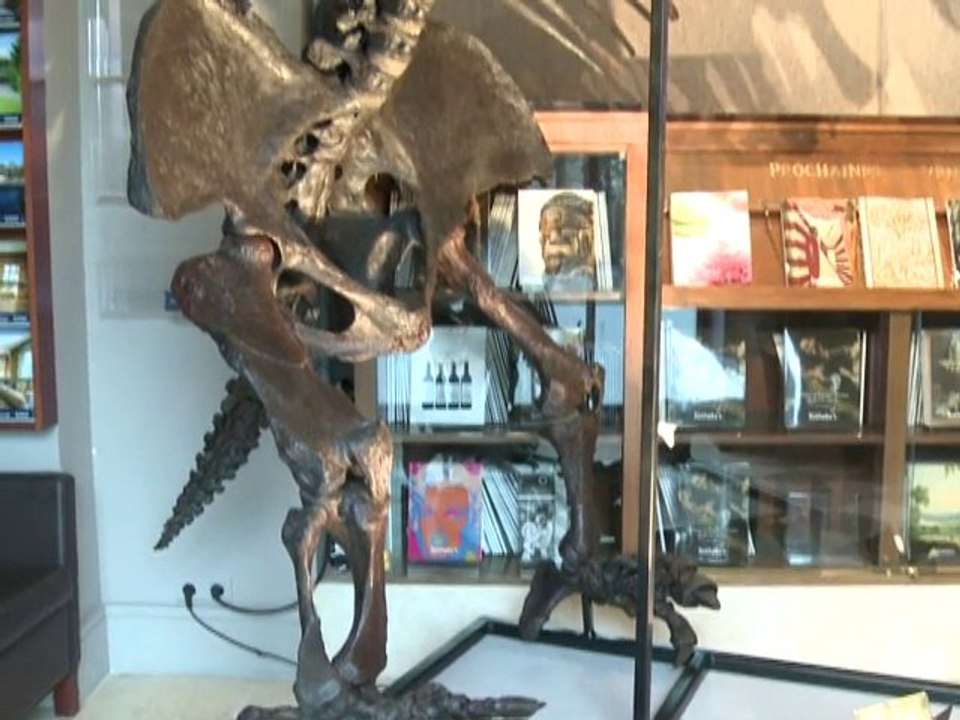 Des squelettes de dinosaures rares aux enchères
