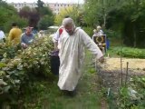 Vendanges romaines chez Pierre FACON à Neuilly Plaisance