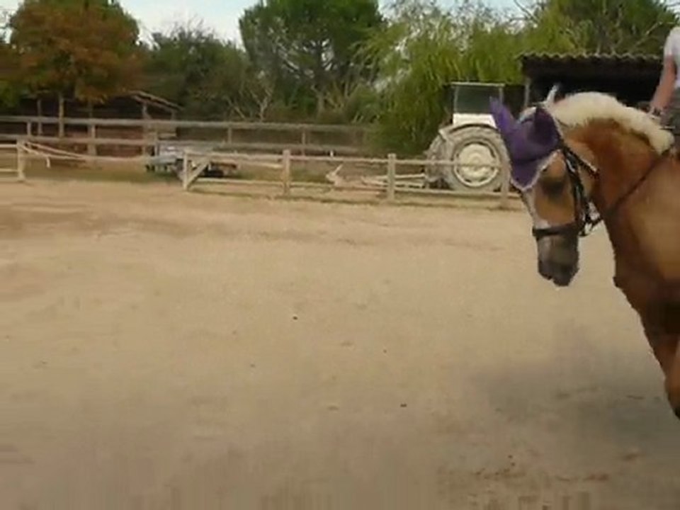 qumba la rouviere oct 2010 galop