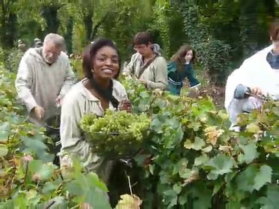 Vendanges romaines chez Pierre FACON à Neuilly Plaisance