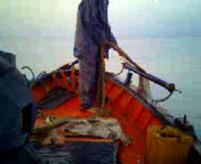 Jour de pêche à Ghar El Melh - Part2