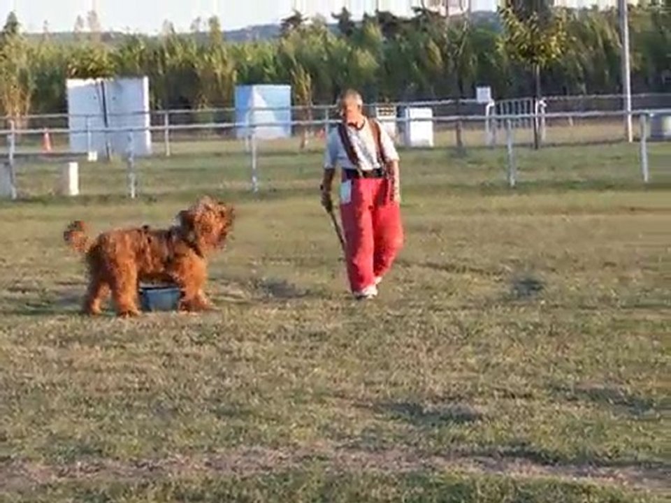 éragon à l'entraînement : garde de l'objet