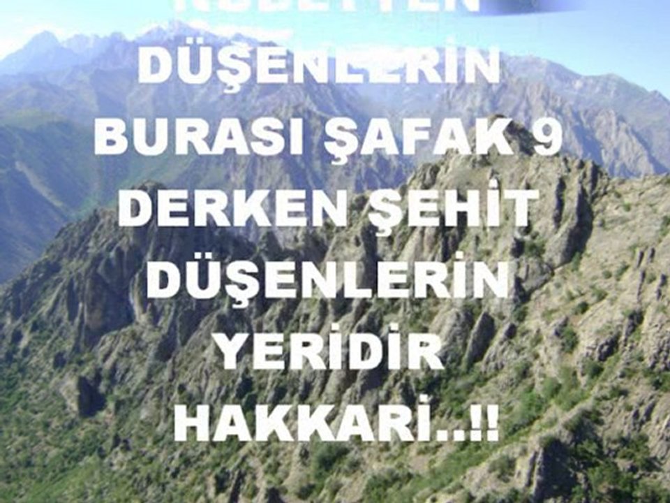 ALİRIZA