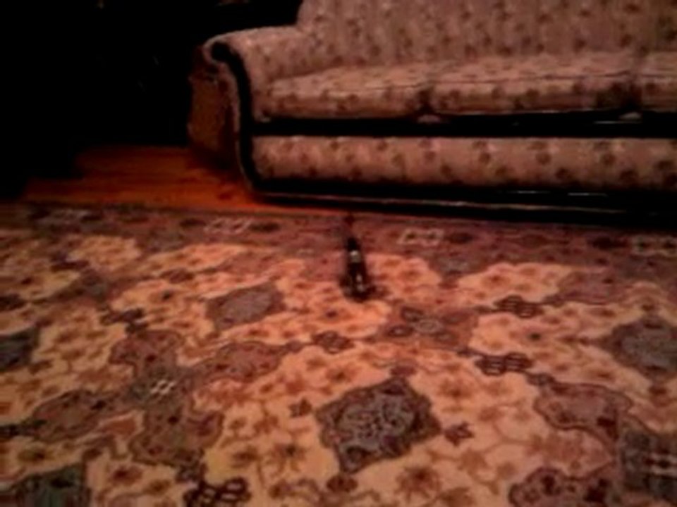 Video0008