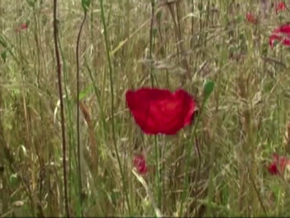 le poker du Diable  (hd)