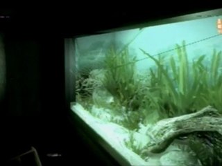 Heavy Rain - Chapter 4  Blue Lagon HD