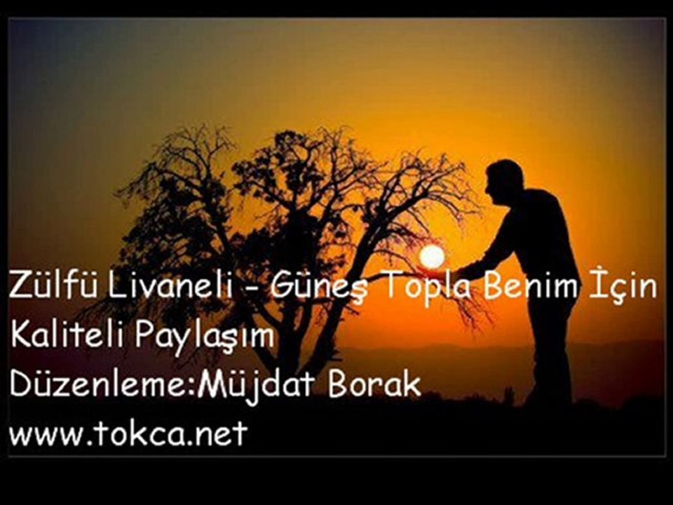 Zülfü Livaneli - Güneş Topla Benim İçin