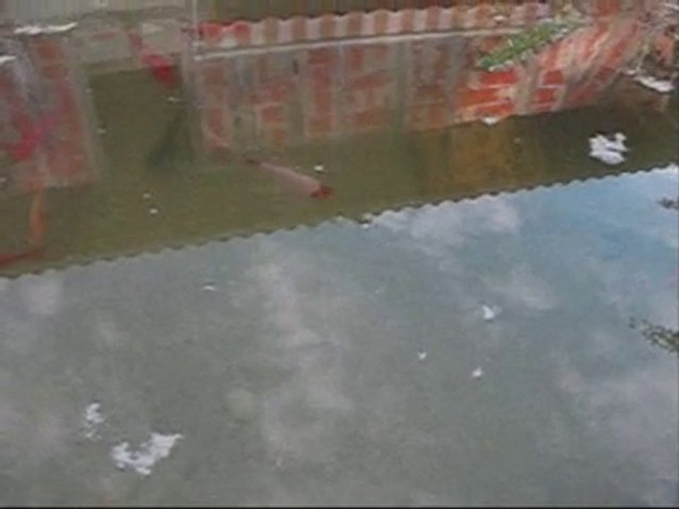 Premier jour dans le bassin 2 Oct.2010