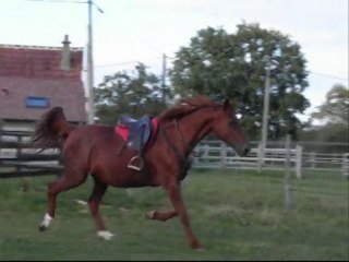 Septembre 2010