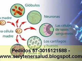 StemEnhance en Colombia Promotor Celulas Madre adultas