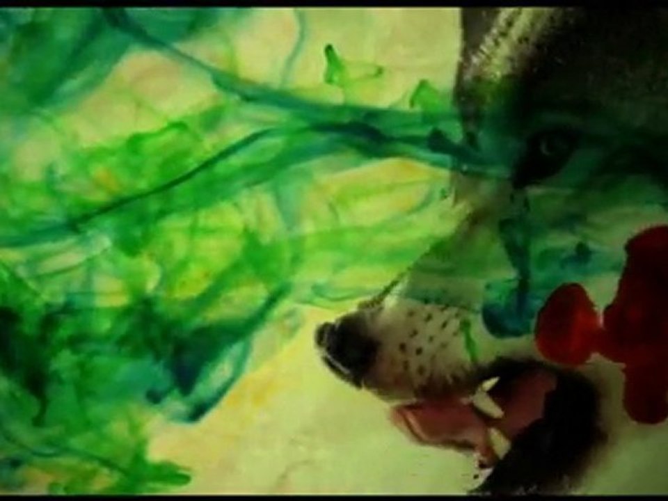 video HD2