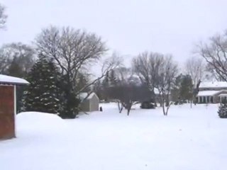 Homes for Sale - 1724 N Windsor Dr - Arlington Heights, IL 6