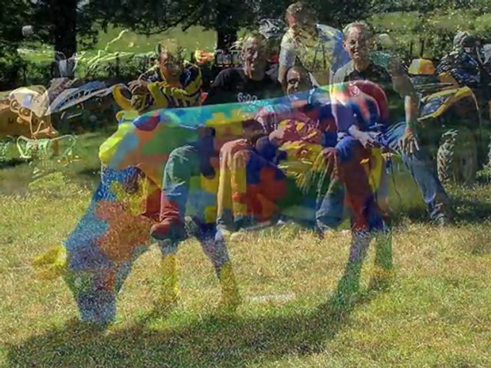 amv quadrezienne 2010 bis