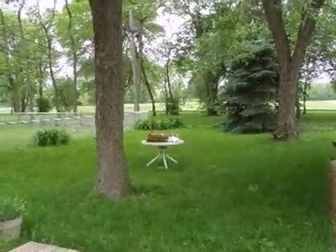 Homes for Sale - 16784 Artesian Ave - Hazel Crest, IL 60429