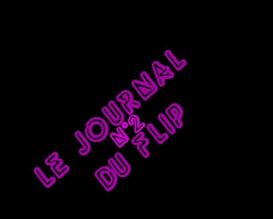 Le journal du flip n°2