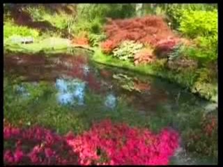 Peygamberimiz (sav) güler yüzlüydü ve güler yüzlü olmak