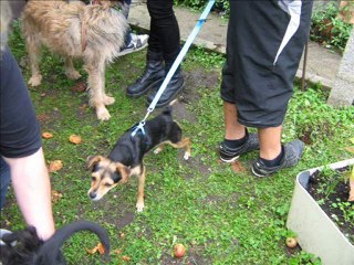 SAUVETAGE DU 2 OCTOBRE 2010