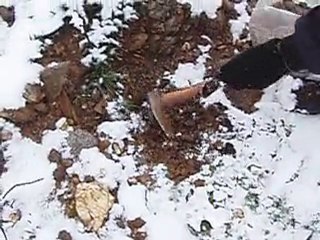 Σποροφύτευση βελανιδιών, Πεντέλη 24/1/2010 (draft)