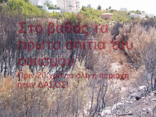 Ρέμα Δασαμάρι, 30/8/2009