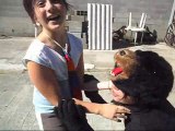 Rencontres avec un Ours MDR